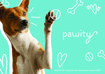 Pawity, una tienda de accesorios sostenibles para mascotas by María Losada Herrero