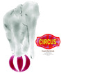 Circus